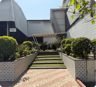 Modern Building